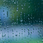 A Chuva que Conecta Mundos