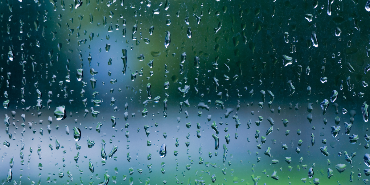 A Chuva que Conecta Mundos